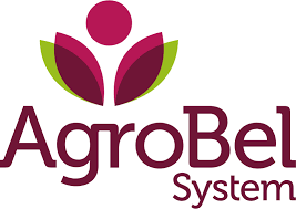 Artfrigo Continues Cooperation with Agrobel for the 2024/25 Season